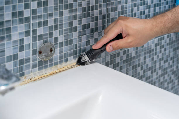 Best Mold Testing  in Le Sueur, MN